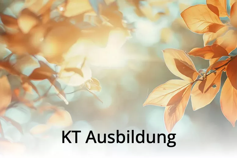 KT-Ausbildung