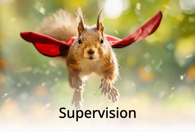 Supervision