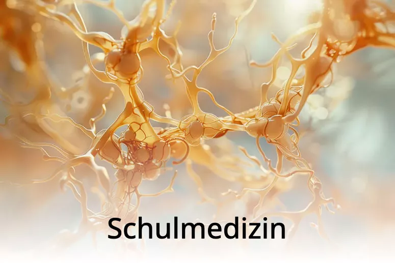 Schulmedizin