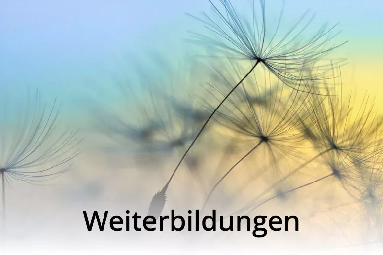 Weiterbildungen