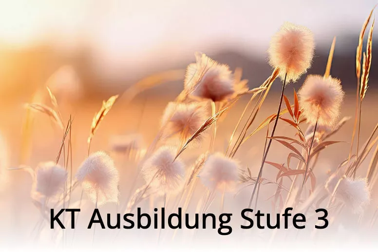 KT-Ausbildung Stufe 3