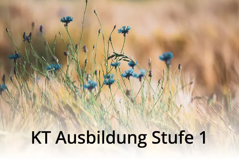 KT-Ausbildung Stufe 1